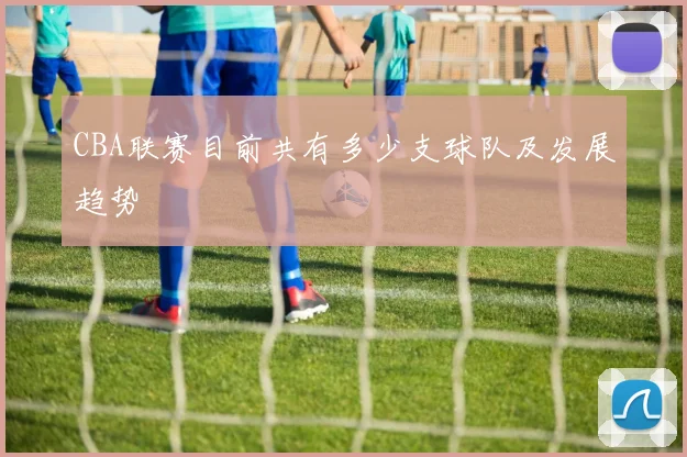 CBA联赛目前共有多少支球队及发展趋势