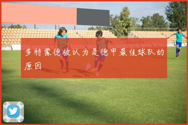 多特蒙德被认为是德甲最佳球队的原因